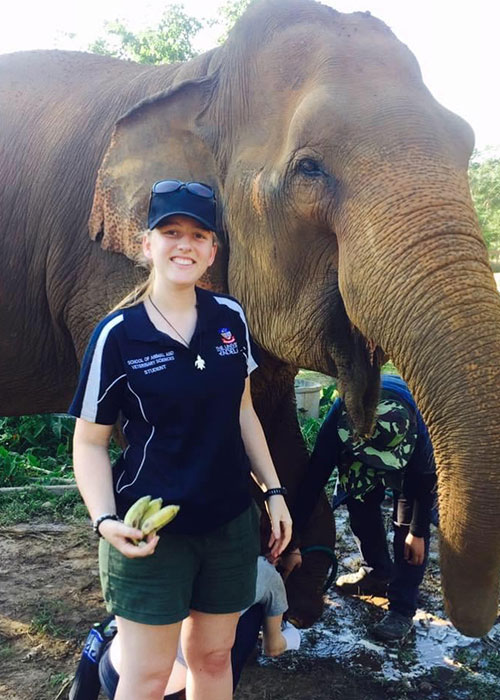 Dr Ashlee Vandenbroek