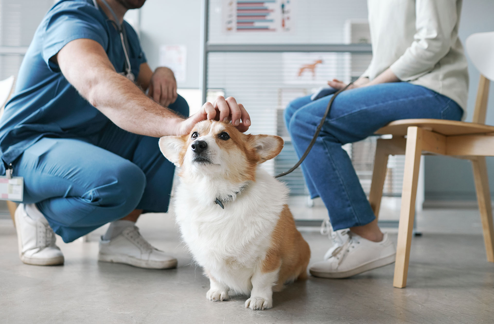 Tails of Transformation: What’s New at Blackwood?